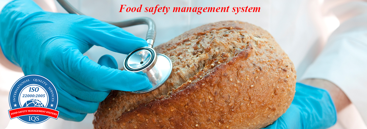 International Quality Services IQS ISO Certification Body